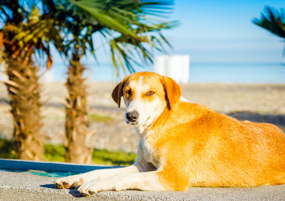 Photograph by Александр Антонов