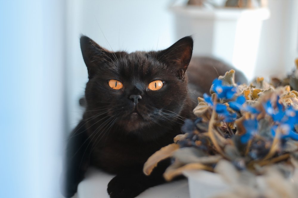 Photograph by Эльза Давлеева