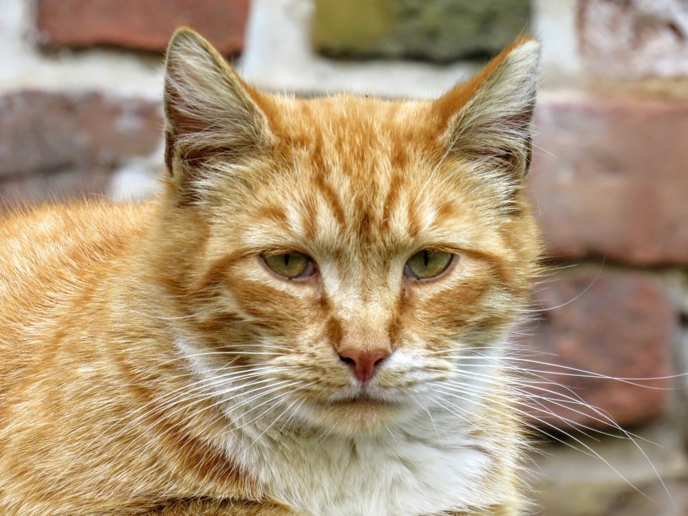 Photograph by ТАТЬЯНА КОНРАДИ