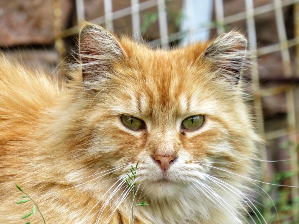 Photograph by ТАТЬЯНА КОНРАДИ