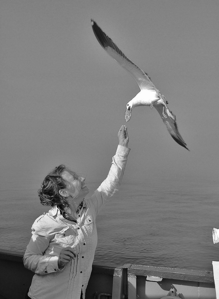 Photograph by Николай Шумилов