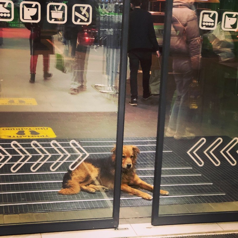 Photograph by Kateryna Tytar