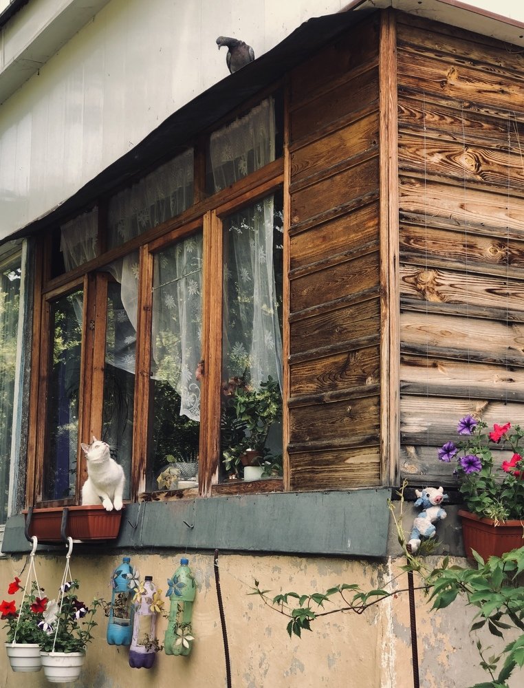 Photograph by Kateryna Tytar