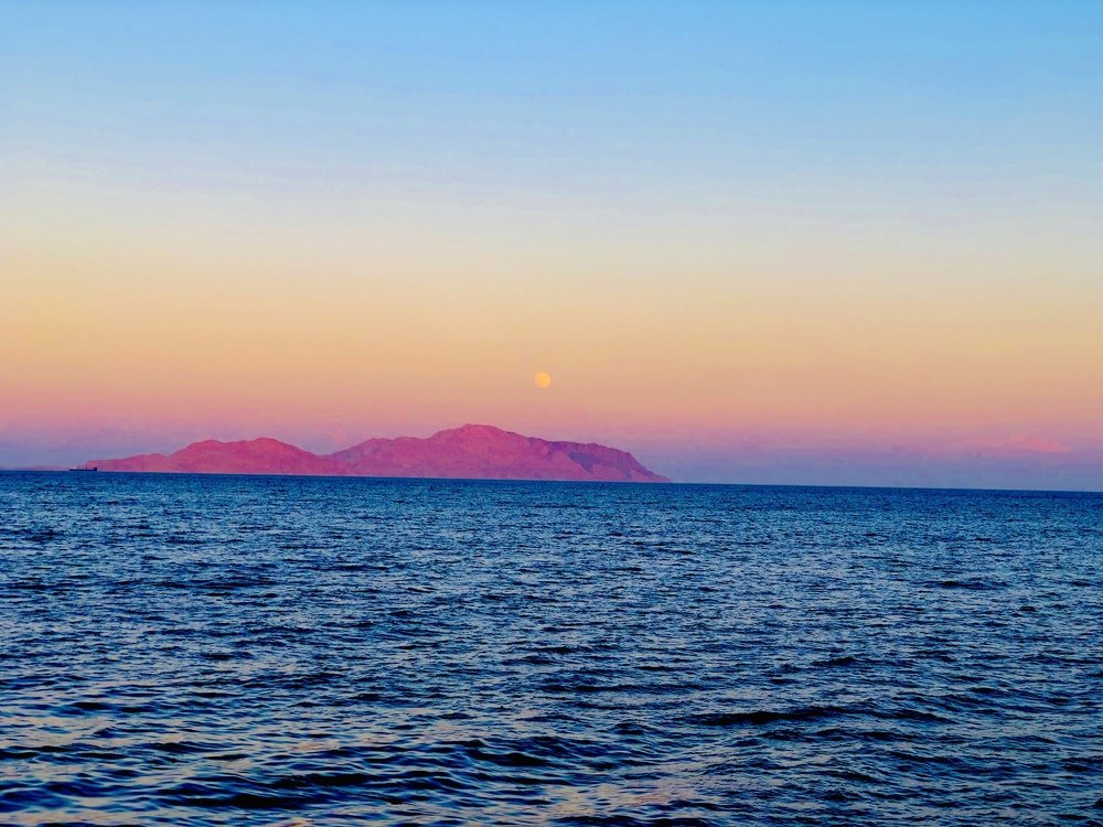 Photograph by Kateryna Tytar