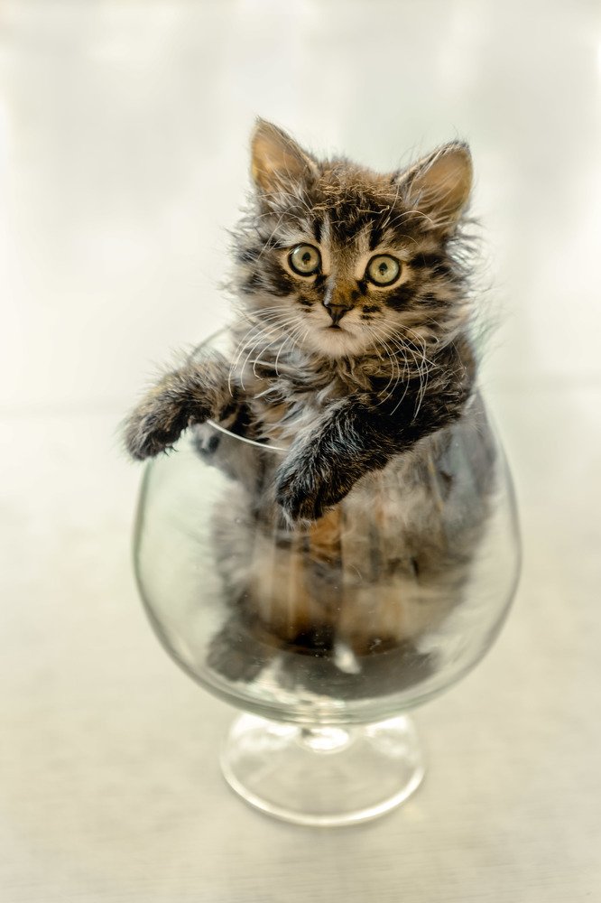 Photograph by Владислав Мотузенко