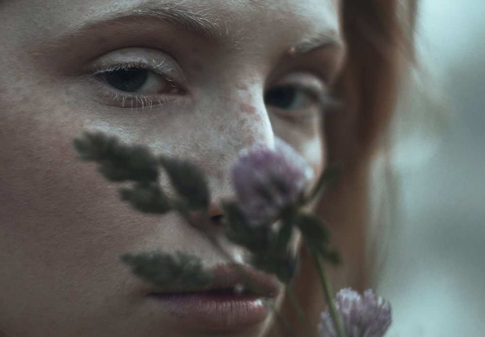 туманное утро