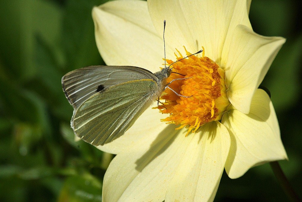 Photograph by Yroslava Veretina