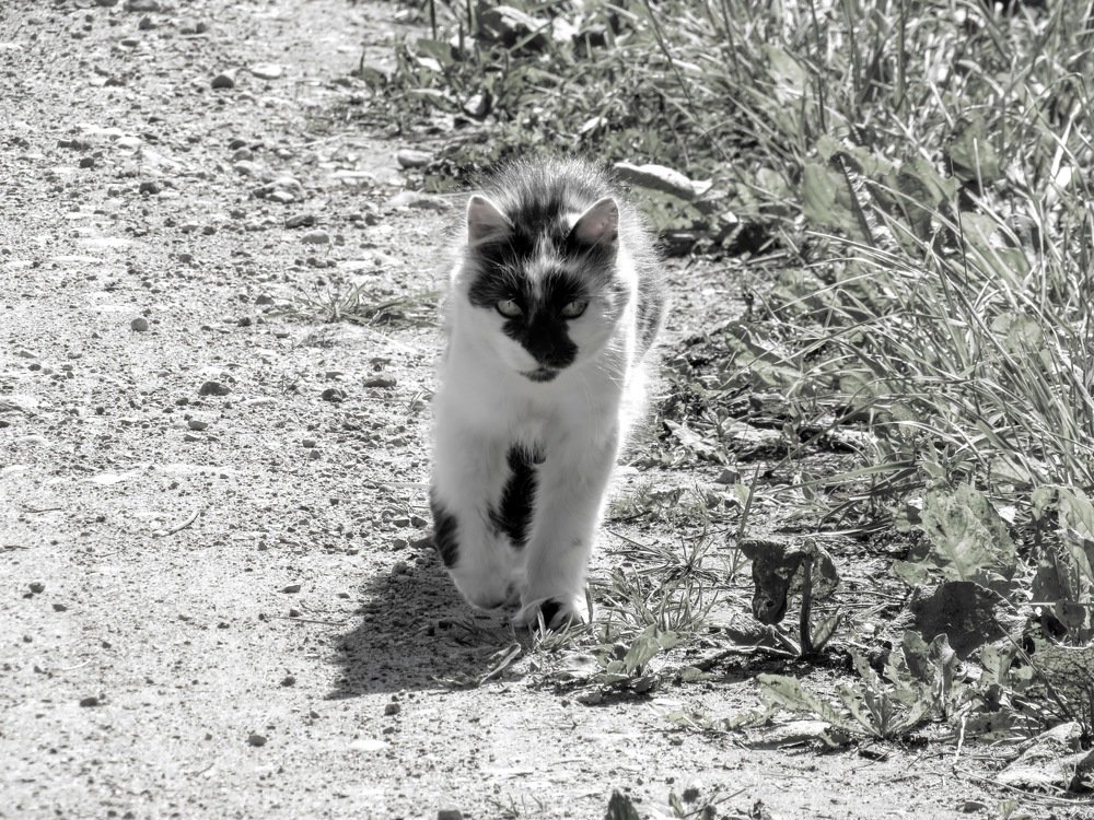 Photograph by ТАТЬЯНА КОНРАДИ