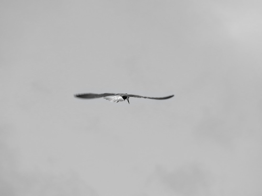 Photograph by ТАТЬЯНА КОНРАДИ