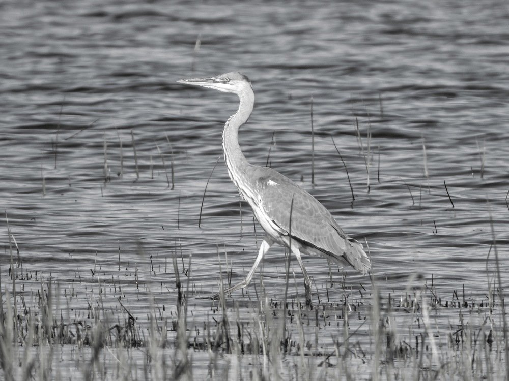 Photograph by ТАТЬЯНА КОНРАДИ