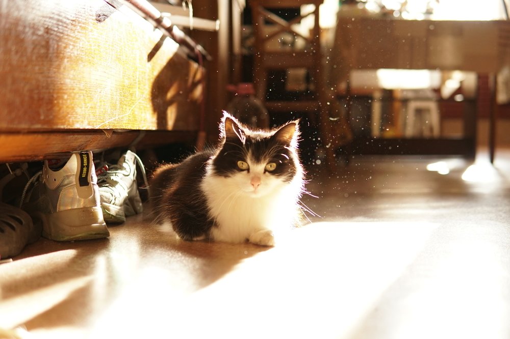 Photograph by Елизавета Русакова