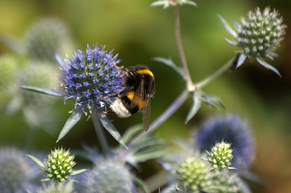 Photograph by Yroslava Veretina