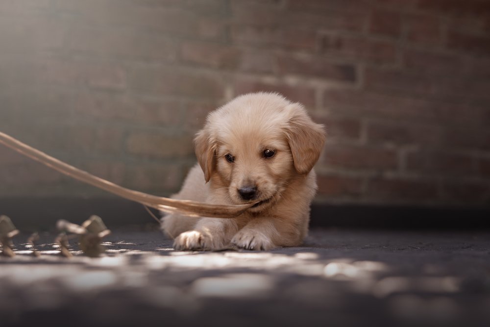 Photograph by Any Giusto