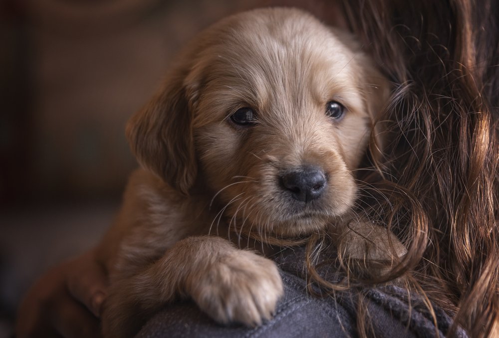 Photograph by Any Giusto