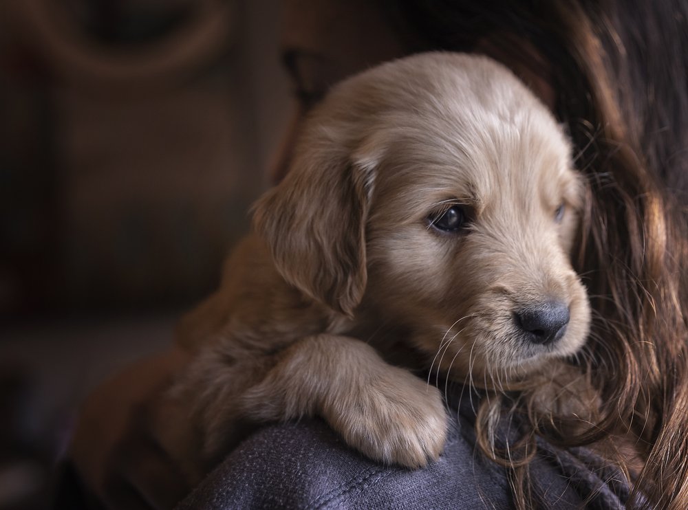 Photograph by Any Giusto