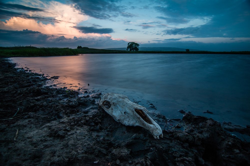 Photograph by Сигида Дмитрий