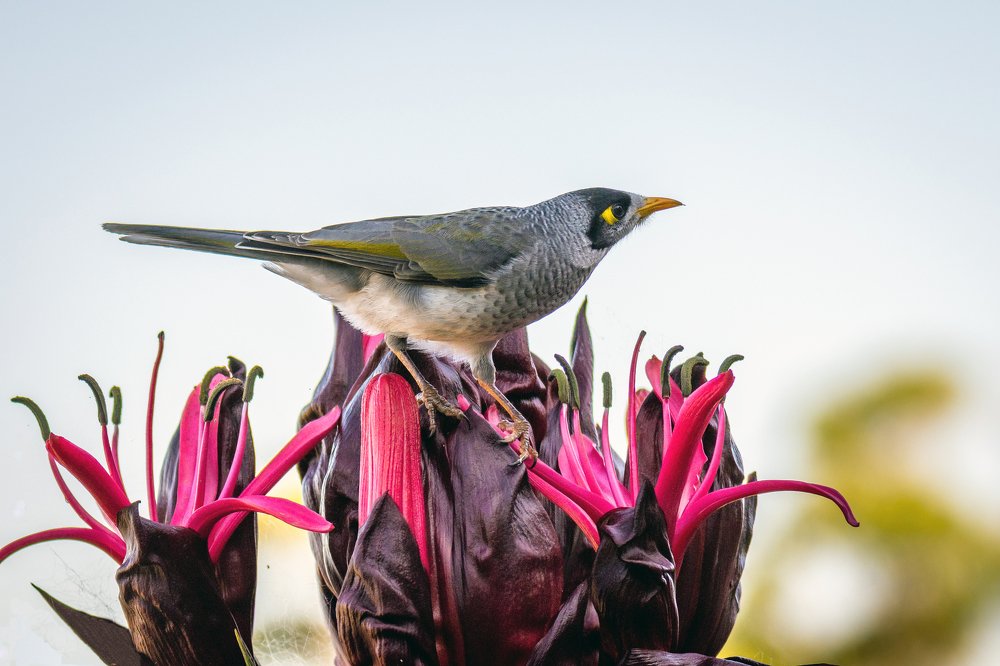 Photograph by Janet Williams