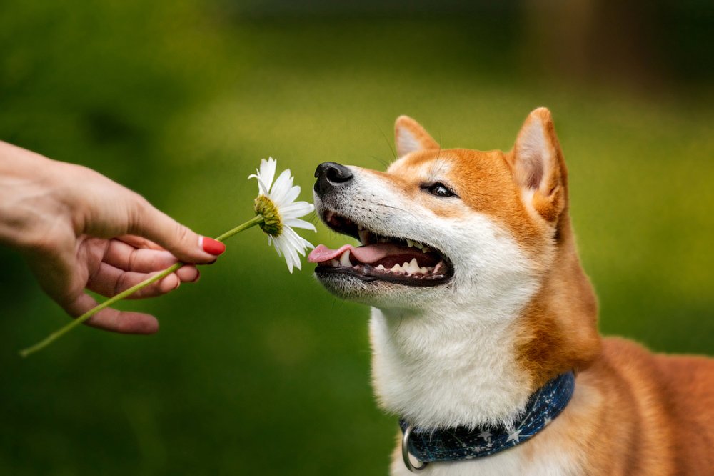 Photograph by Katerina Kutova