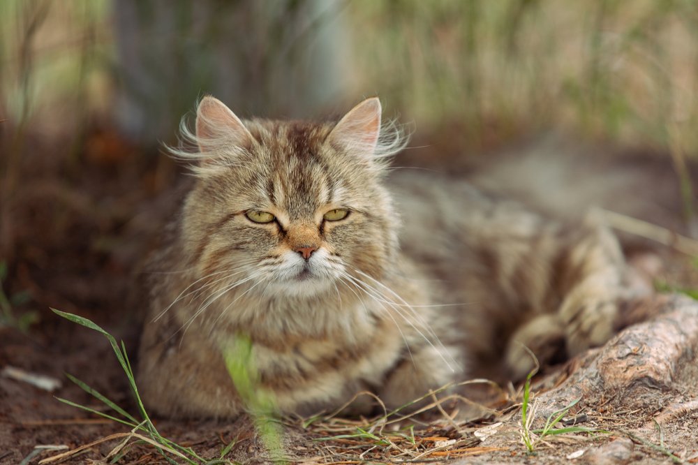 Photograph by Мария Бочкова