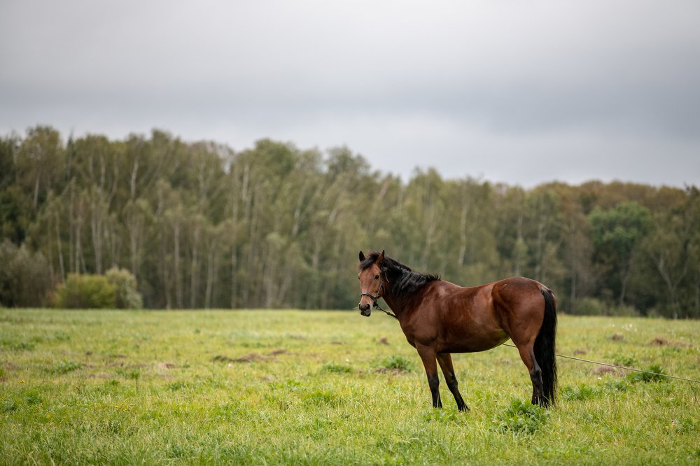 Photograph by Дмитрий Николаев
