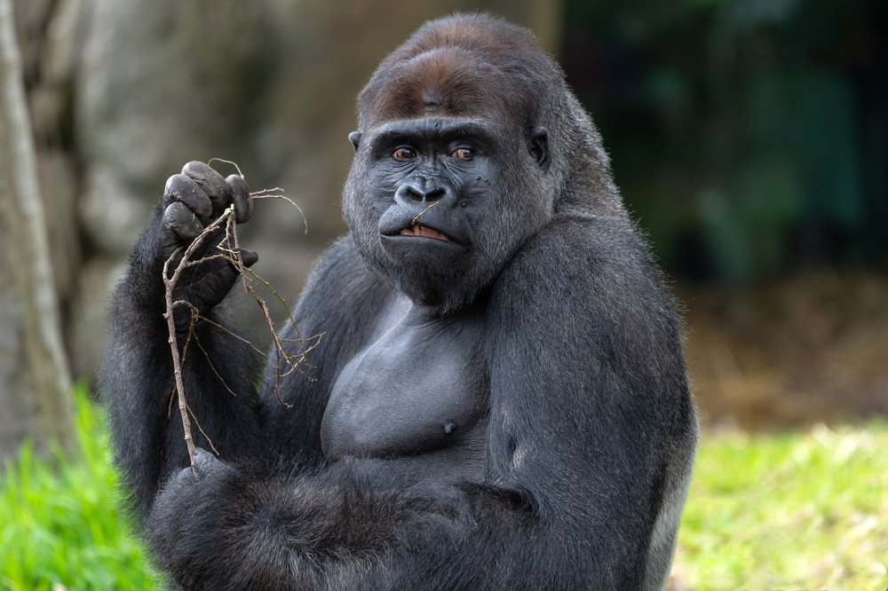 Photograph by Janet Williams