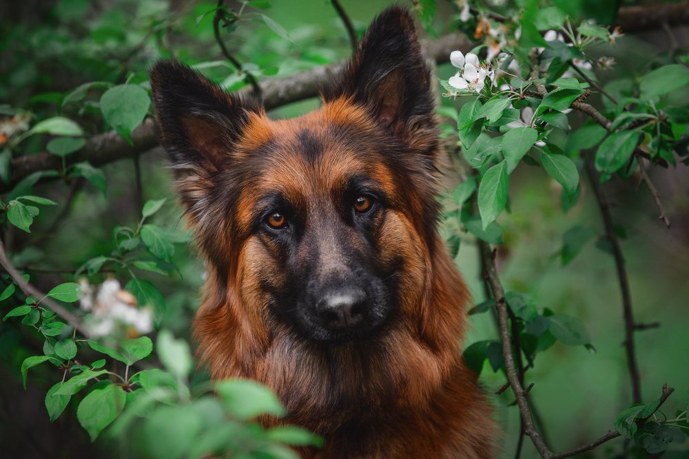 Photograph by Владислава Протащик