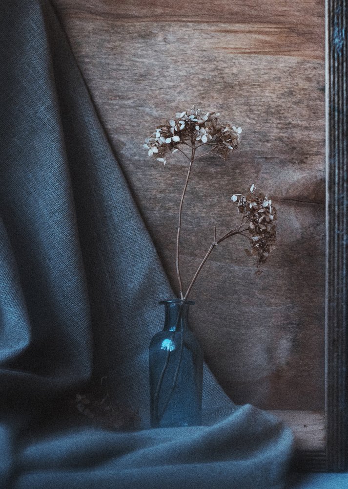 Photograph by Сергеева Марина