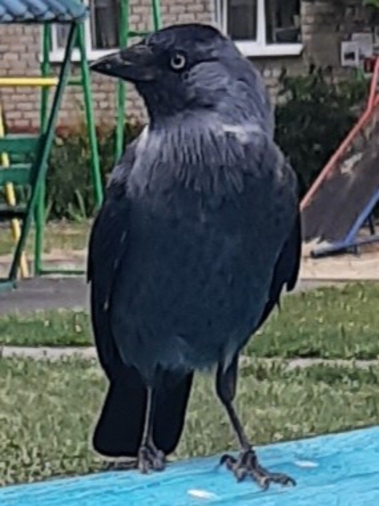 Photograph by Анатолий Зеленский