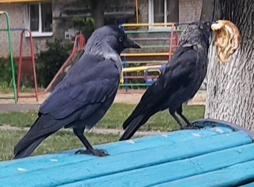 Photograph by Анатолий Зеленский