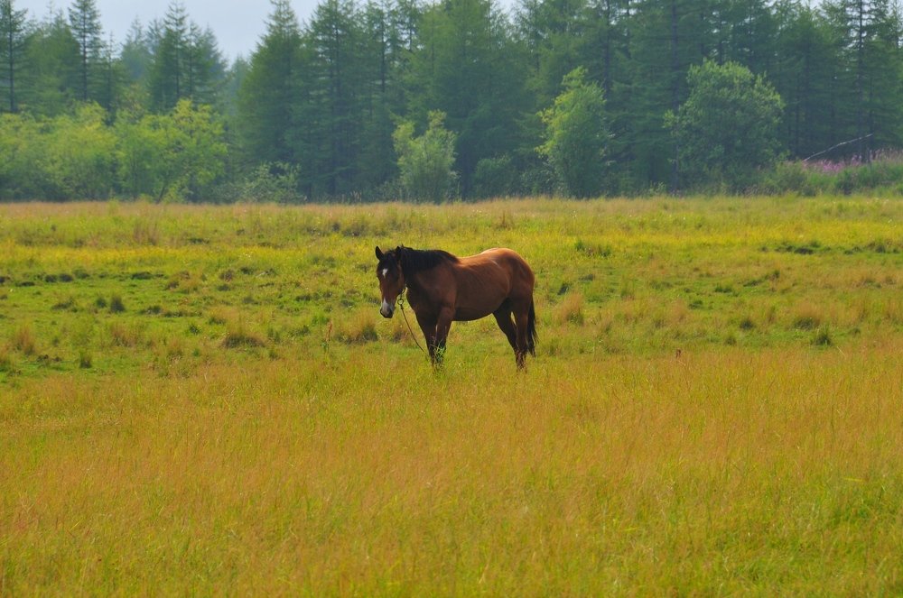 Photograph by Евгений Захаров