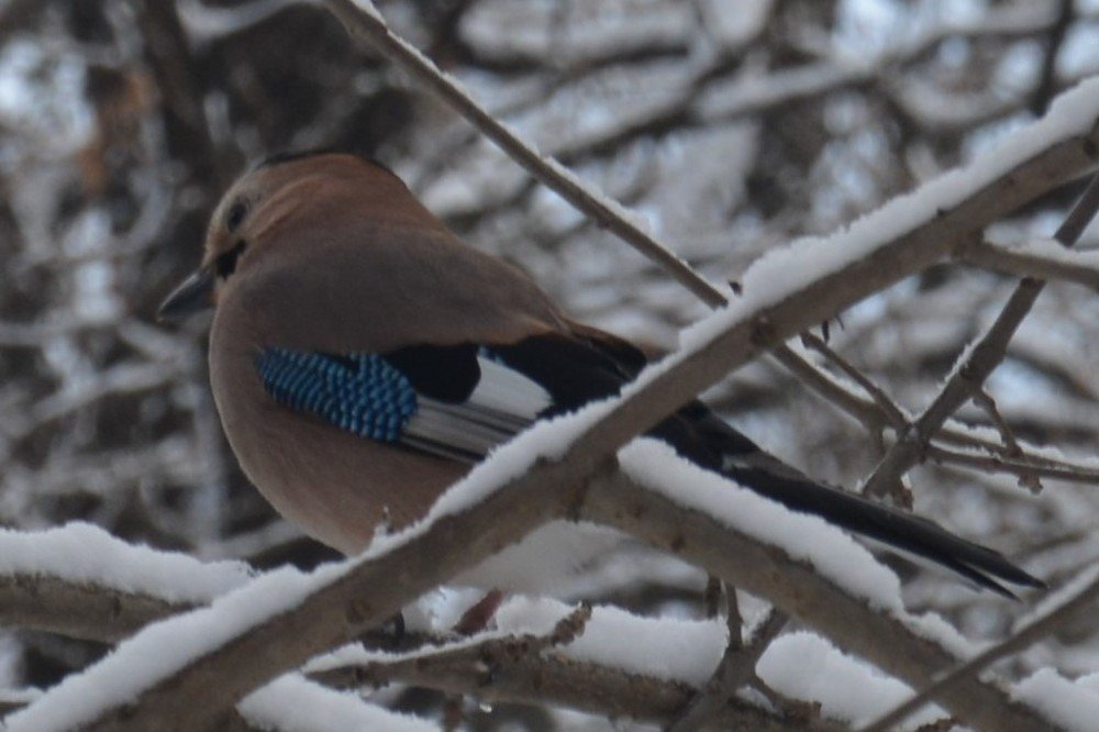 Photograph by Анатолий Зеленский