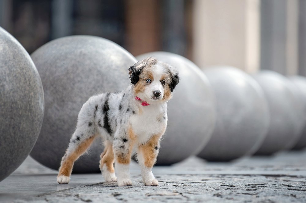 Photograph by Katerina Kutova