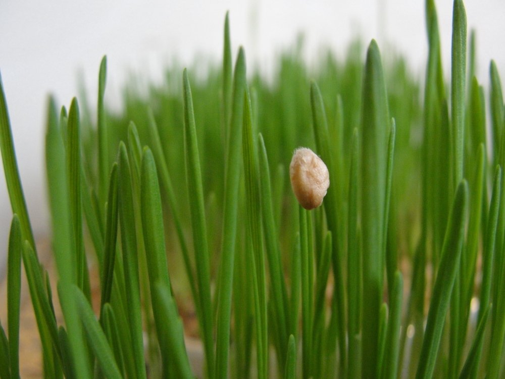 Photograph by Elene Khaladze