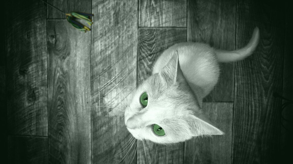 Фотография автора Степан Давыдов