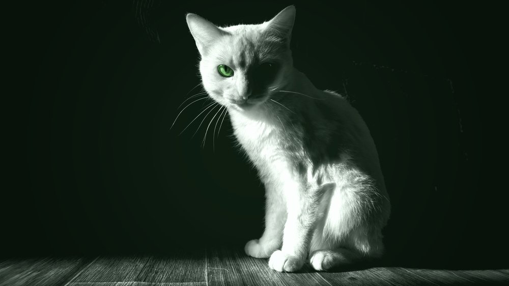 Фотография автора Степан Давыдов