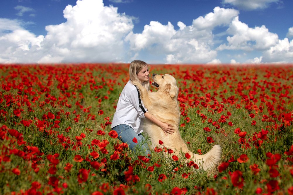 Photograph by Katerina Kutova