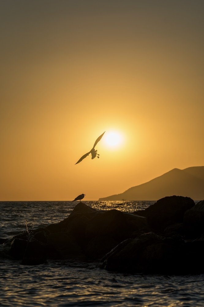 Photograph by Людмила Хакулова