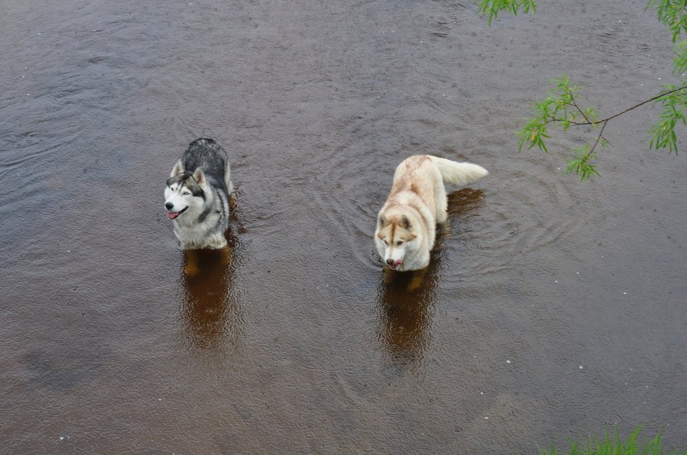 Photograph by Евгений Захаров