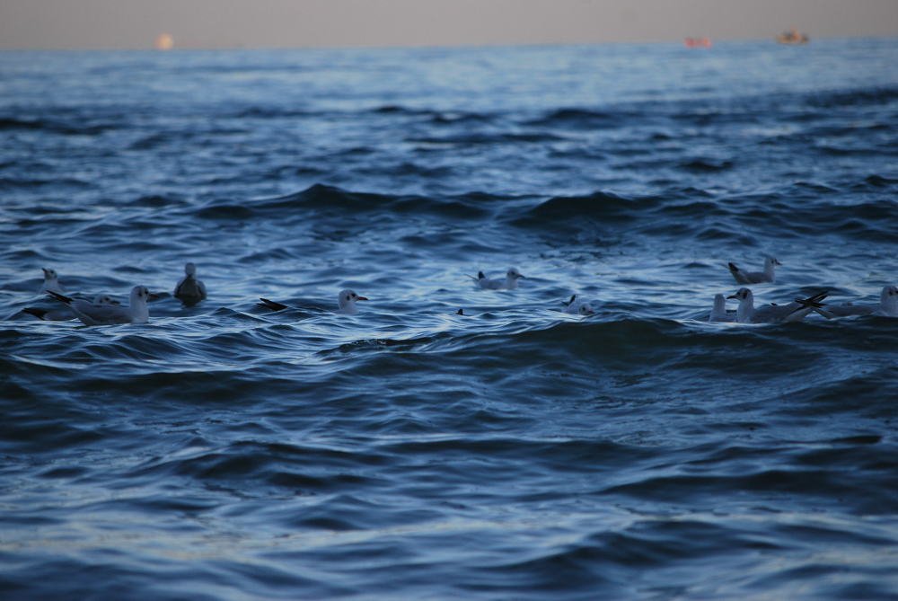 Photograph by Lelia Zhukova