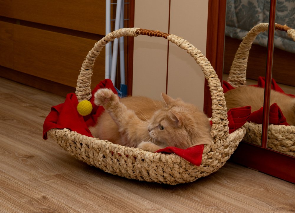 Photograph by Сергей Байтеряков