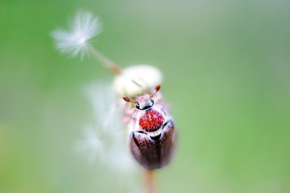 Вера в себя