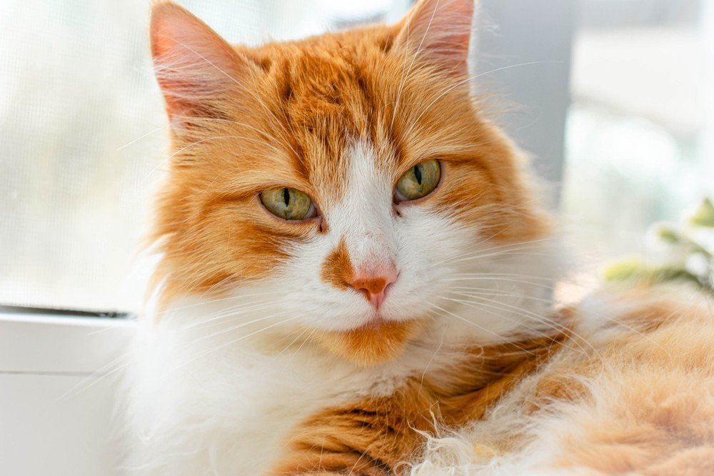 Photograph by Vita Kostiuk