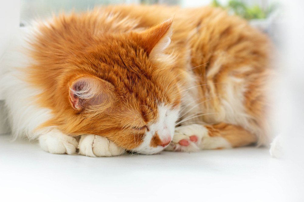 Photograph by Vita Kostiuk