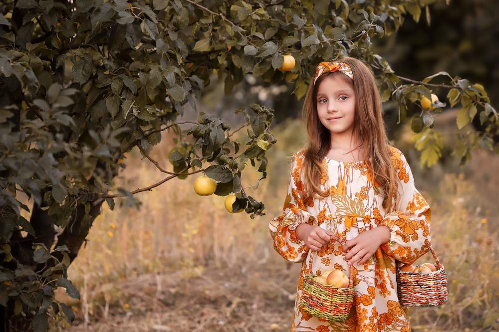 Яблочная осень