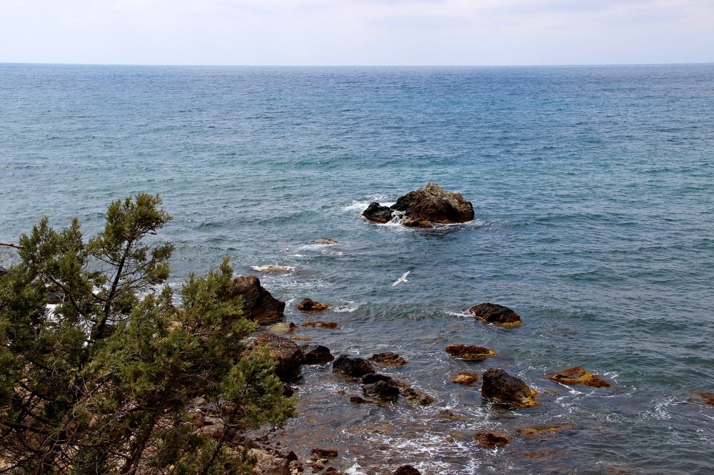 Photograph by Владимир Макаров