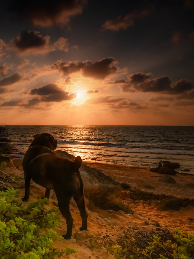 Photograph by YURI GARNAGA