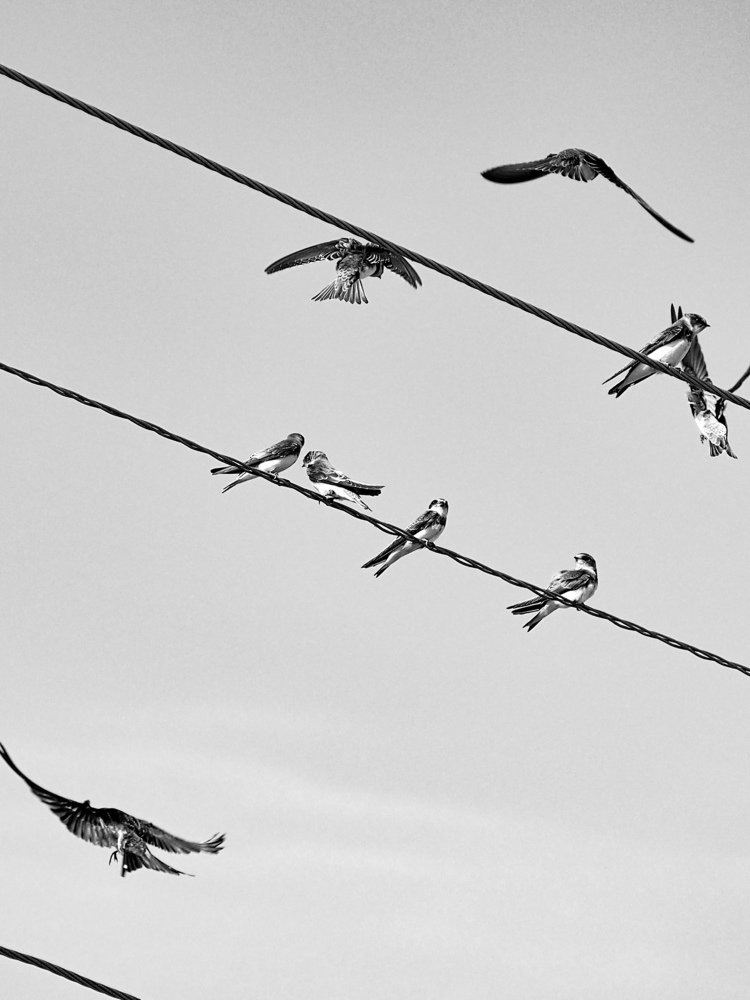 Photograph by Светлана Шибаршина