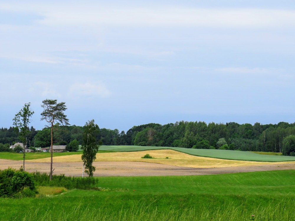 Photograph by ТАТЬЯНА КОНРАДИ