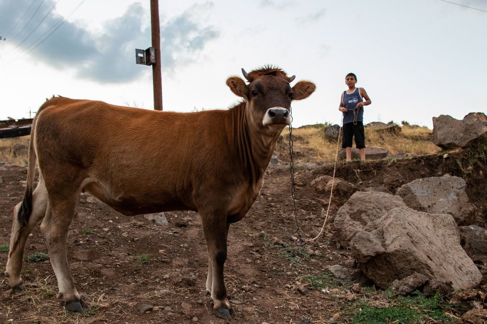 Photograph by Narek Antashyan