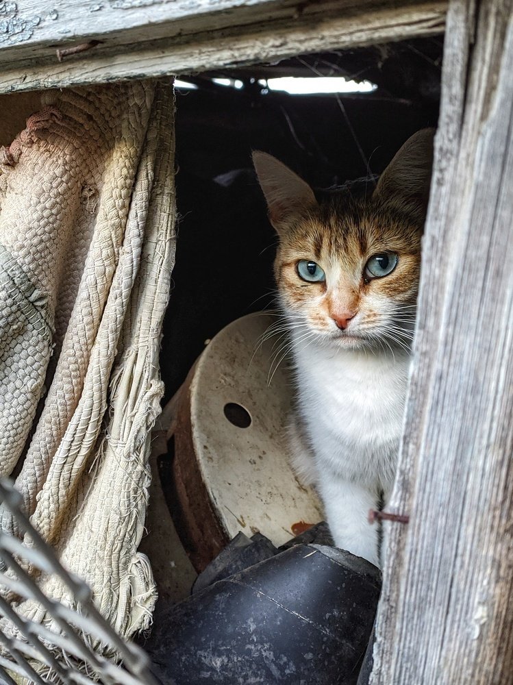 Photograph by Наталья Егорова